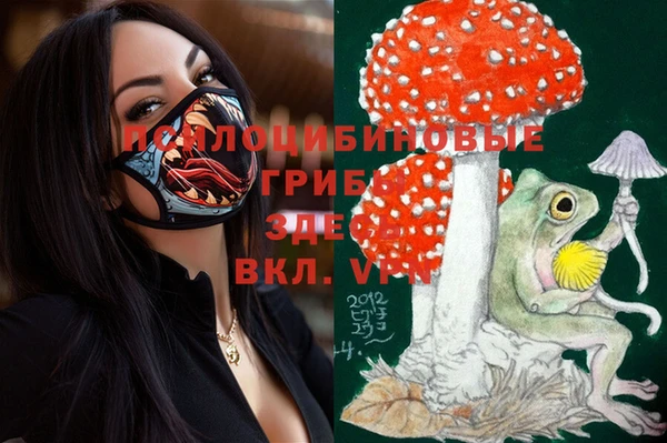 дурь Богданович