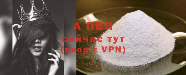 дурь Богданович
