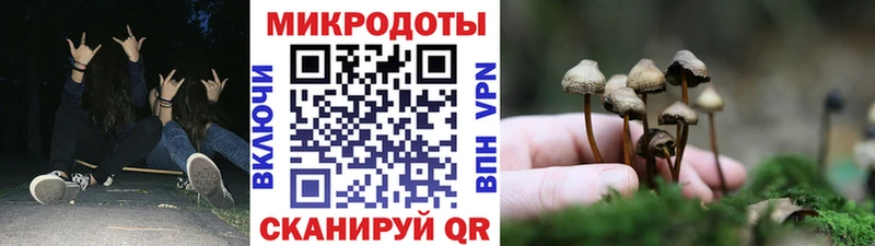 Купить закладки  Подпорожье  Галлюциногенные грибы GOLDEN TEACHER 